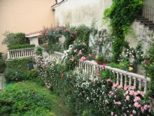 Foto 1 di Bed and Breakfast - Antico Amore